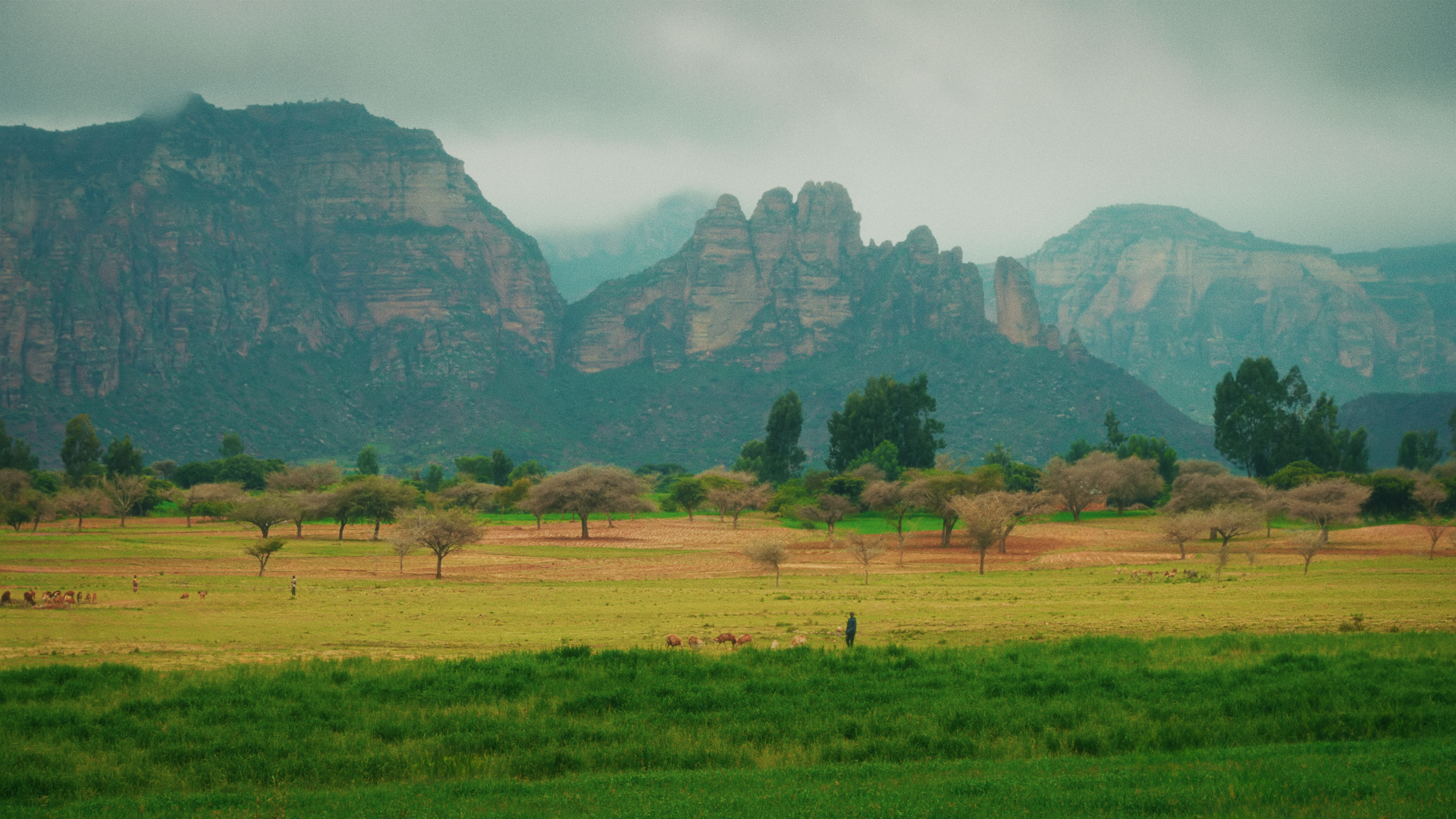 Green mountains