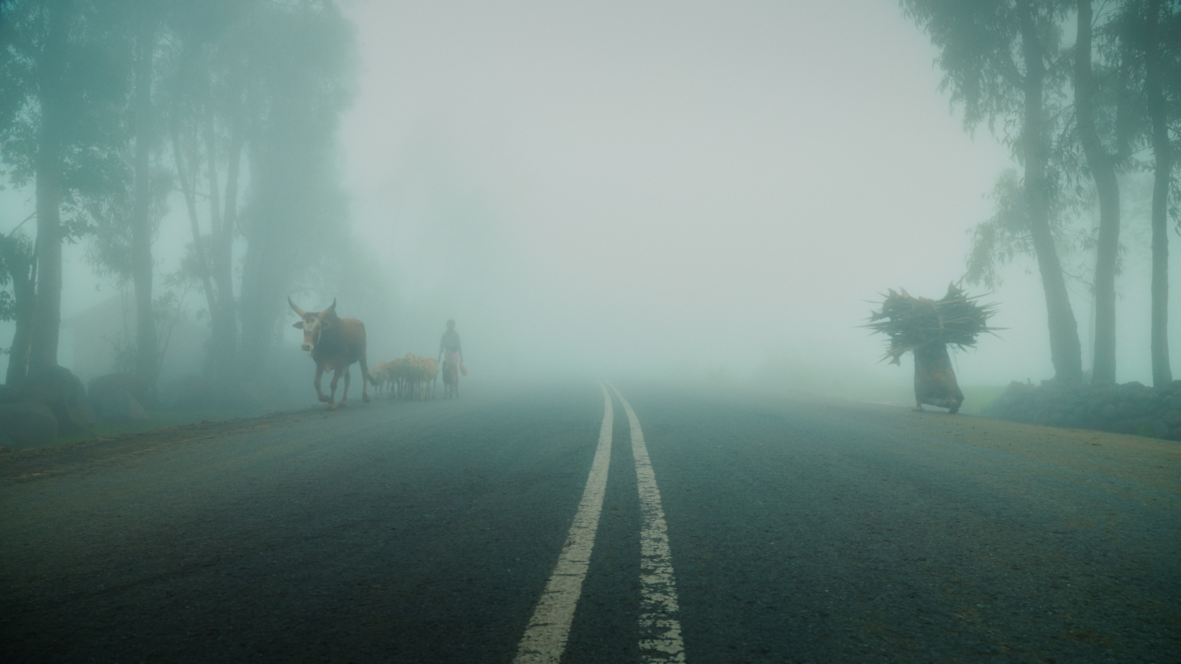 Misty road